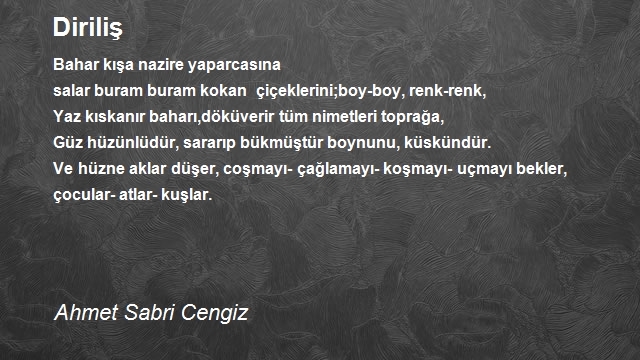 Ahmet Sabri Cengiz