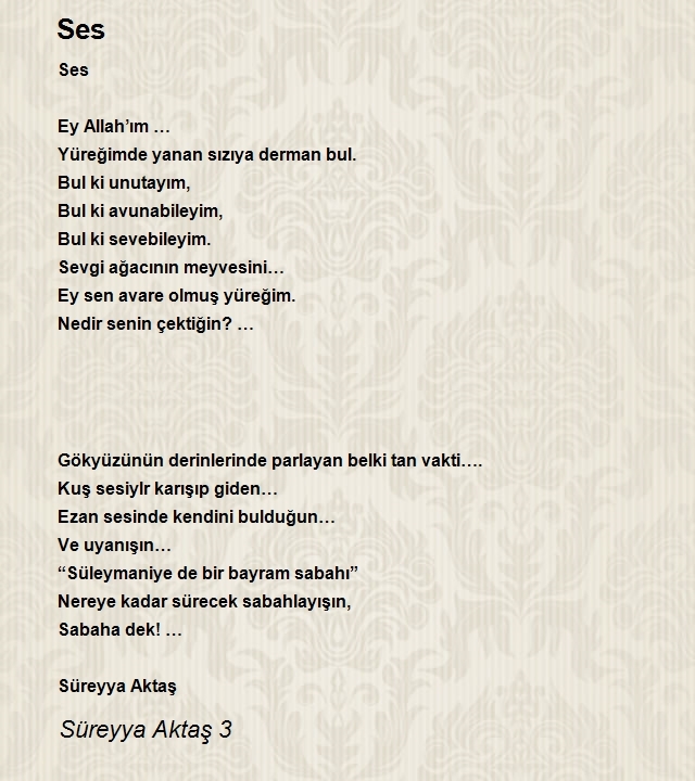 Süreyya Aktaş 3