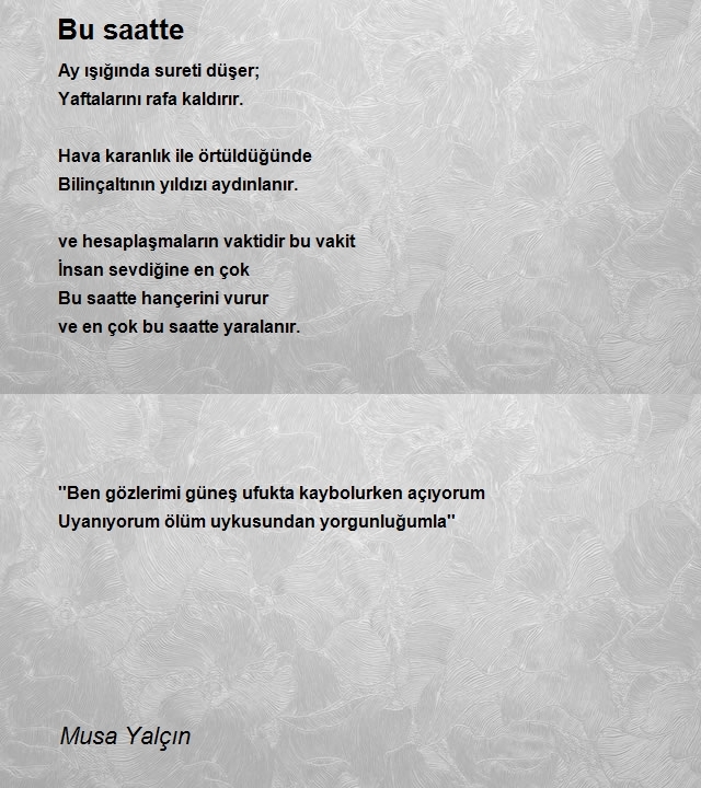 Musa Yalçın