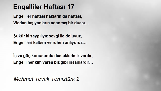 Mehmet Tevfik Temiztürk 2