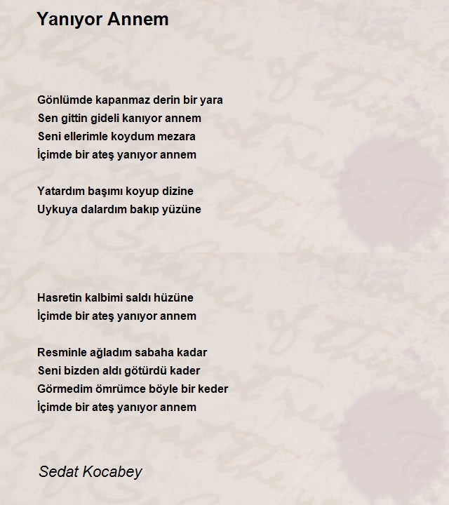 Sedat Kocabey