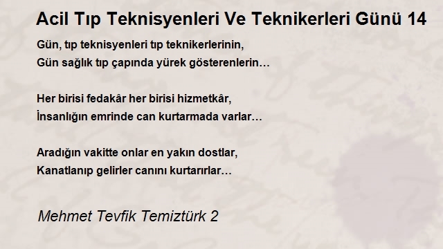 Mehmet Tevfik Temiztürk 2