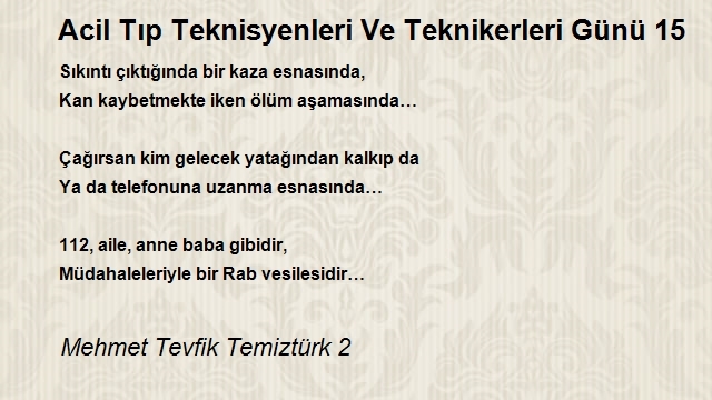 Mehmet Tevfik Temiztürk 2