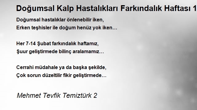 Mehmet Tevfik Temiztürk 2