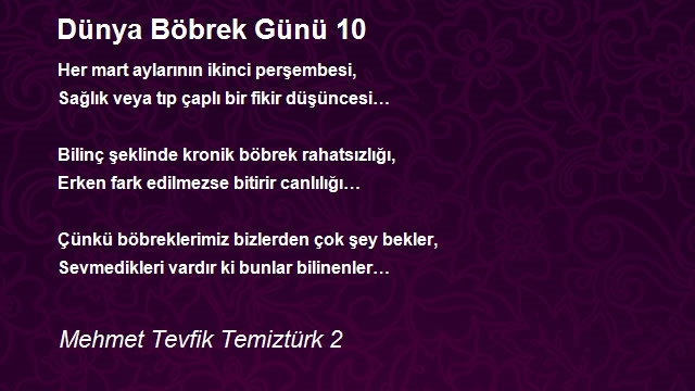 Mehmet Tevfik Temiztürk 2