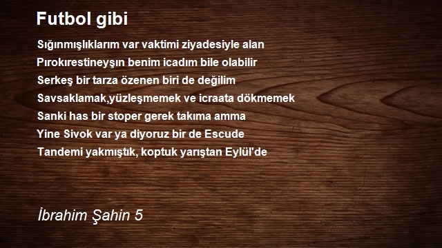 İbrahim Şahin 5