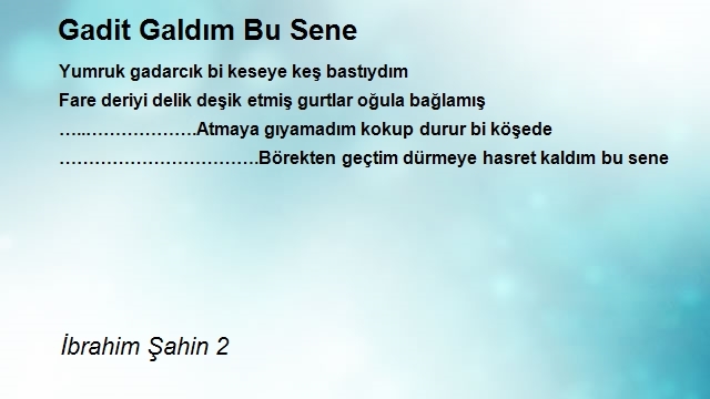 İbrahim Şahin 2