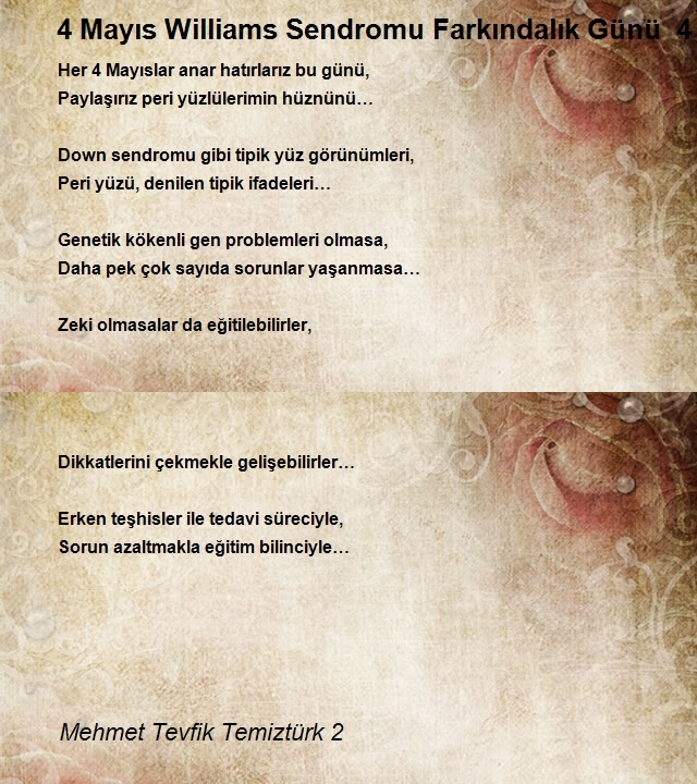 Mehmet Tevfik Temiztürk 2