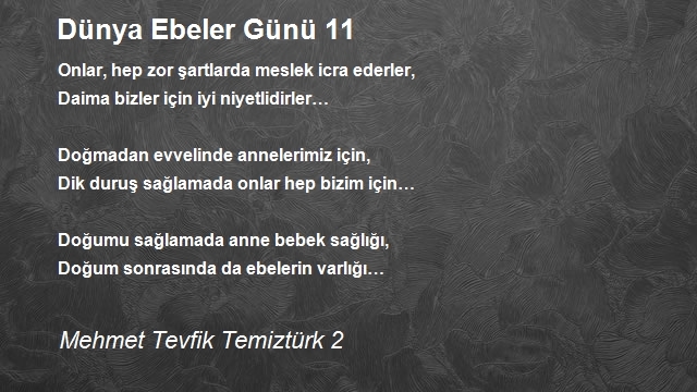 Mehmet Tevfik Temiztürk 2