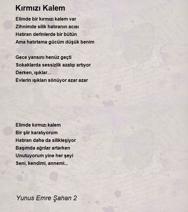 Yunus Emre Şahan 2