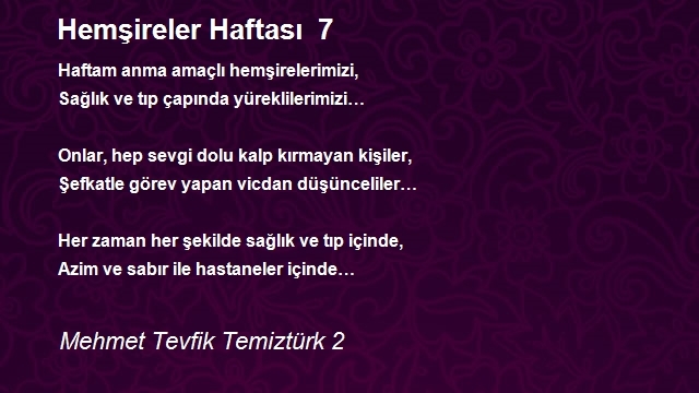 Mehmet Tevfik Temiztürk 2