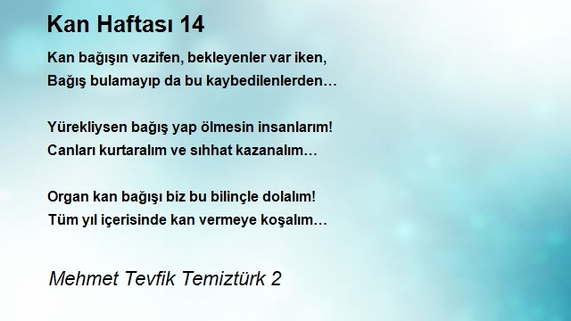 Mehmet Tevfik Temiztürk 2