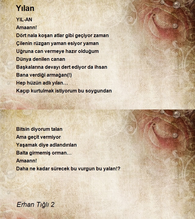 Erhan Tığlı 2