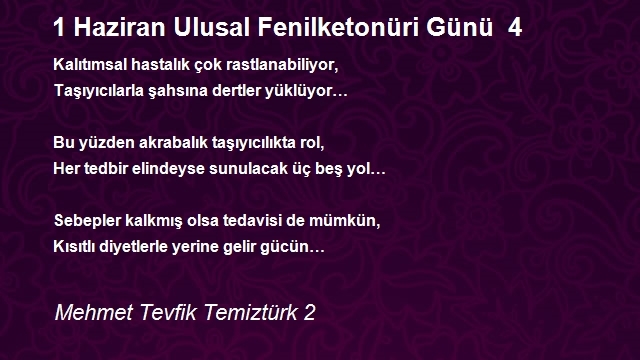 Mehmet Tevfik Temiztürk 2