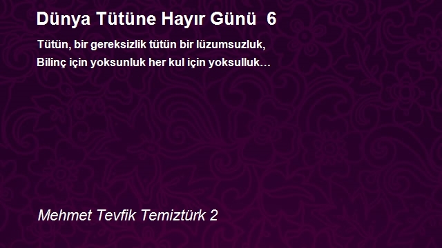 Mehmet Tevfik Temiztürk 2