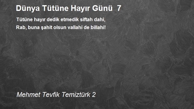 Mehmet Tevfik Temiztürk 2