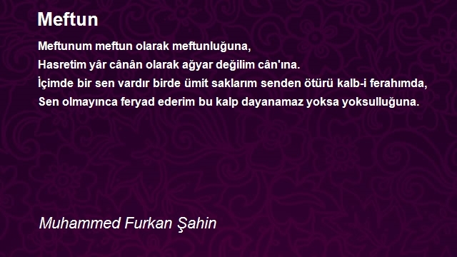 Muhammed Furkan Şahin