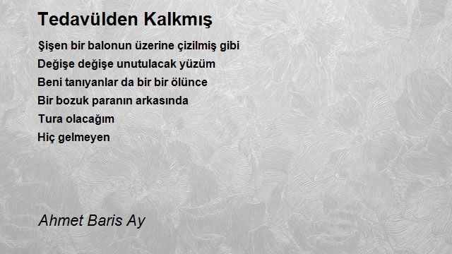 Ahmet Baris Ay