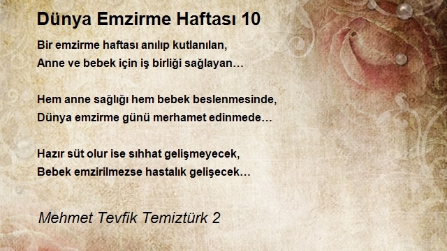 Mehmet Tevfik Temiztürk 2