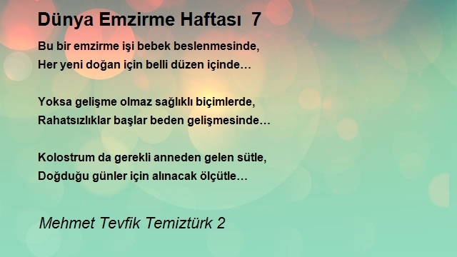 Mehmet Tevfik Temiztürk 2