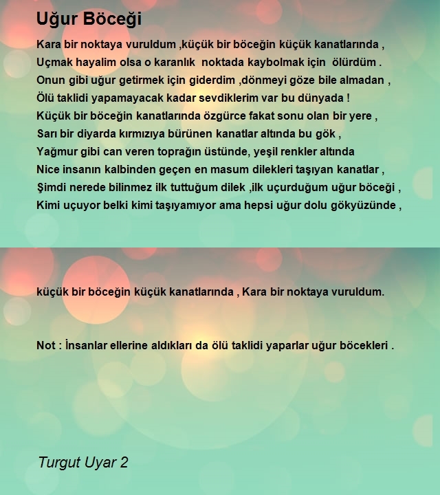 Turgut Uyar 3