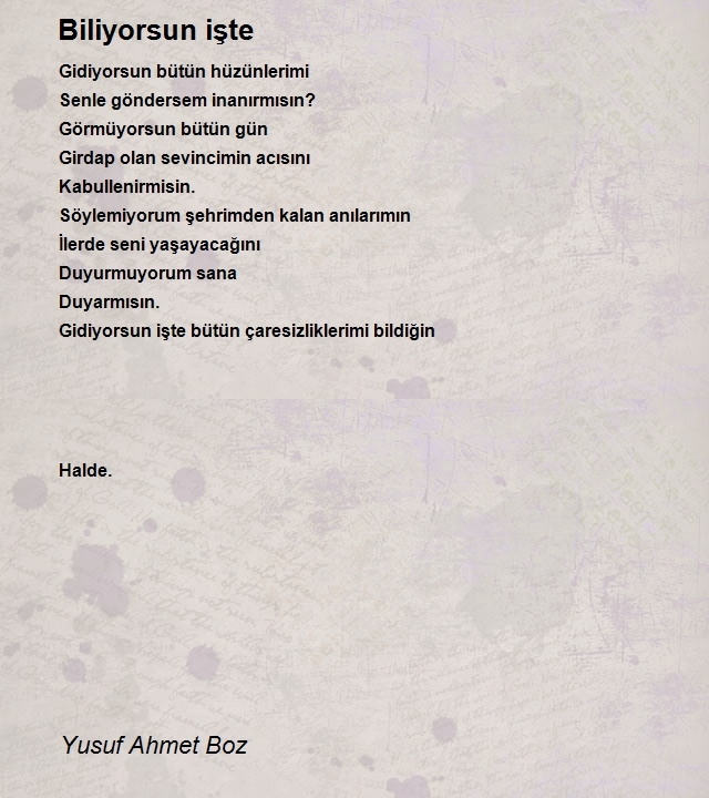 Yusuf Ahmet Boz