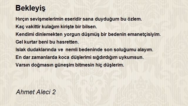 Ahmet Aleci 2