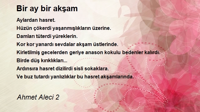 Ahmet Aleci 2