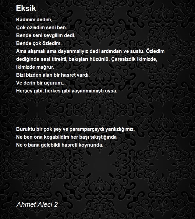 Ahmet Aleci 2