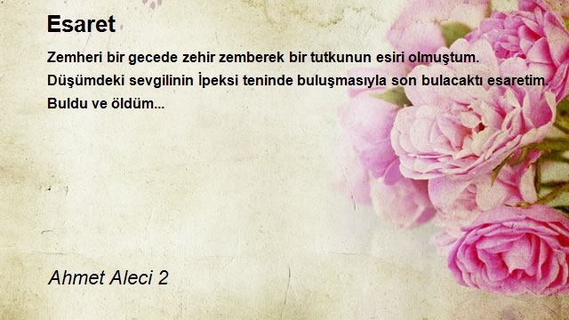 Ahmet Aleci 2