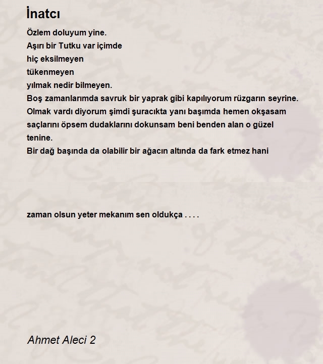 Ahmet Aleci 2