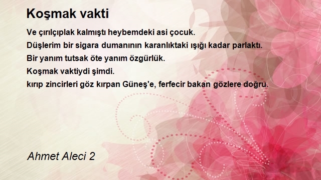 Ahmet Aleci 2