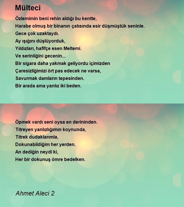 Ahmet Aleci 2