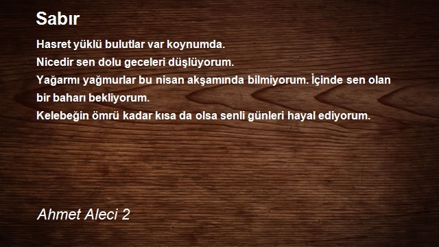 Ahmet Aleci 2