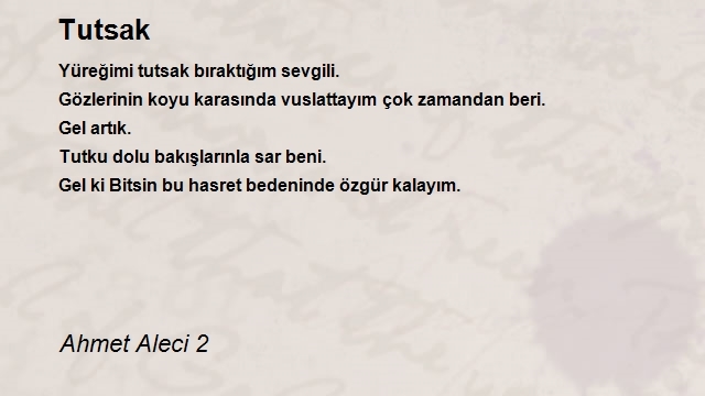 Ahmet Aleci 2