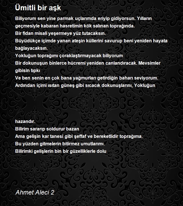 Ahmet Aleci 2