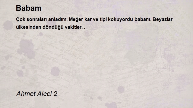 Ahmet Aleci 2