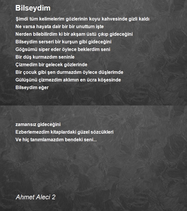 Ahmet Aleci 2