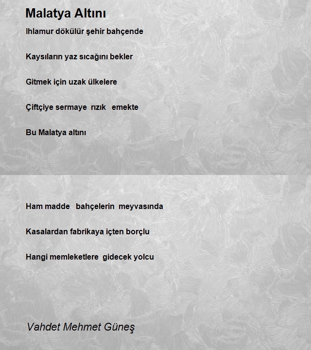 Vahdet Mehmet Güneş