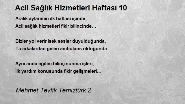 Mehmet Tevfik Temiztürk 2