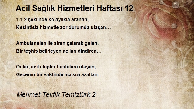 Mehmet Tevfik Temiztürk 2