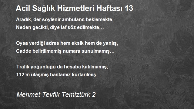 Mehmet Tevfik Temiztürk 2