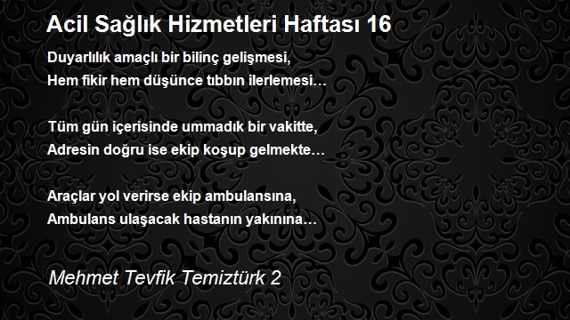 Mehmet Tevfik Temiztürk 2