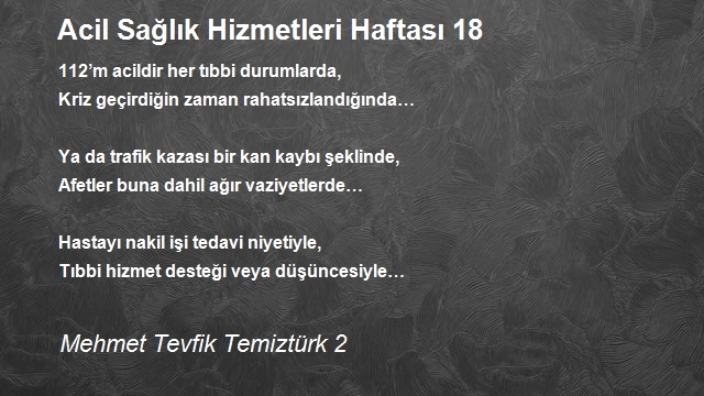 Mehmet Tevfik Temiztürk 2