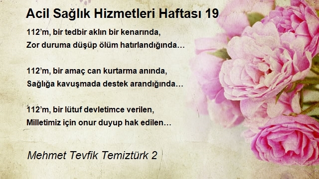 Mehmet Tevfik Temiztürk 2