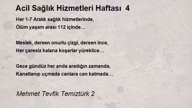 Mehmet Tevfik Temiztürk 2