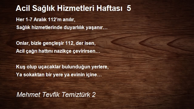 Mehmet Tevfik Temiztürk 2