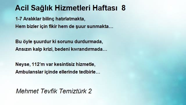 Mehmet Tevfik Temiztürk 2