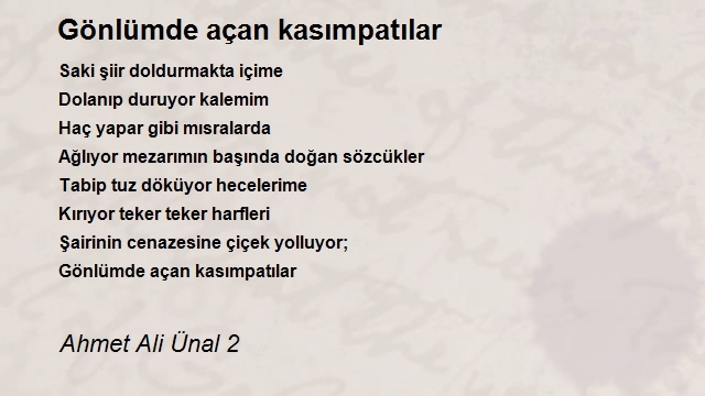 Ahmet Ali Ünal 2