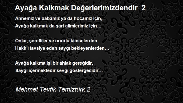 Mehmet Tevfik Temiztürk 2